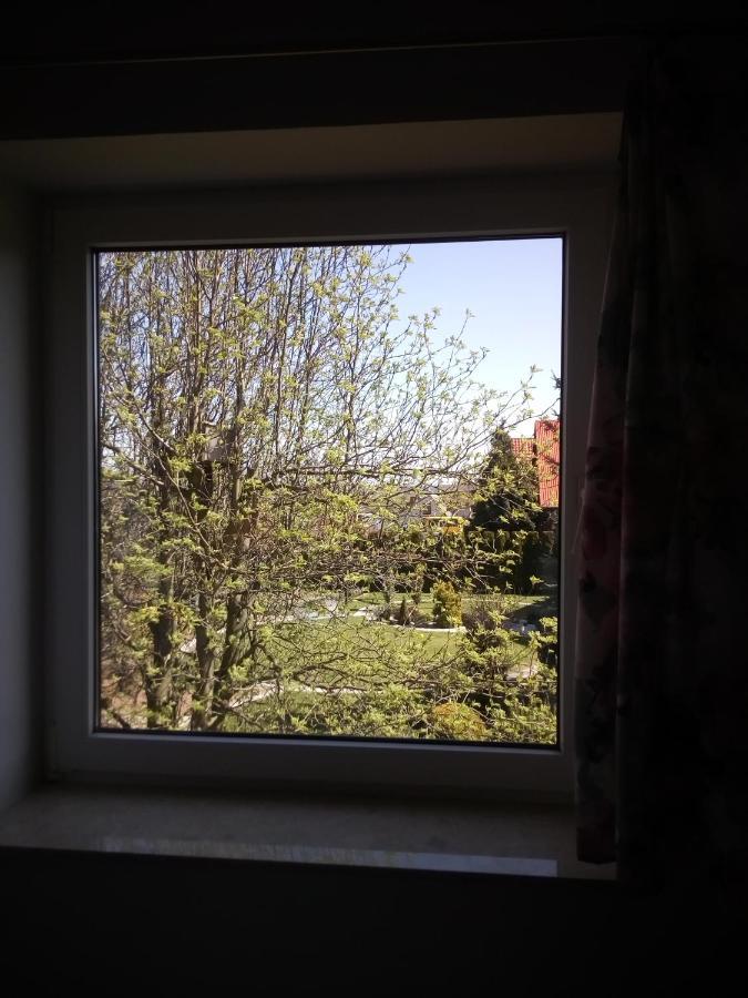 Apartamenty I Pokoje Pluszak Sandomierz Buitenkant foto